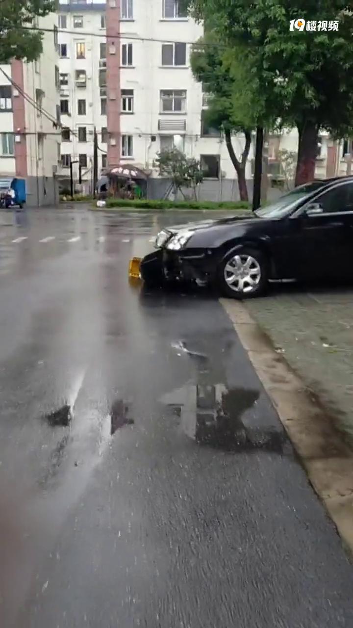 С���ﲻ�ú�ͣ���ĺ�� ��ͷֱ���쵽��·�ϱ�ײɢ��