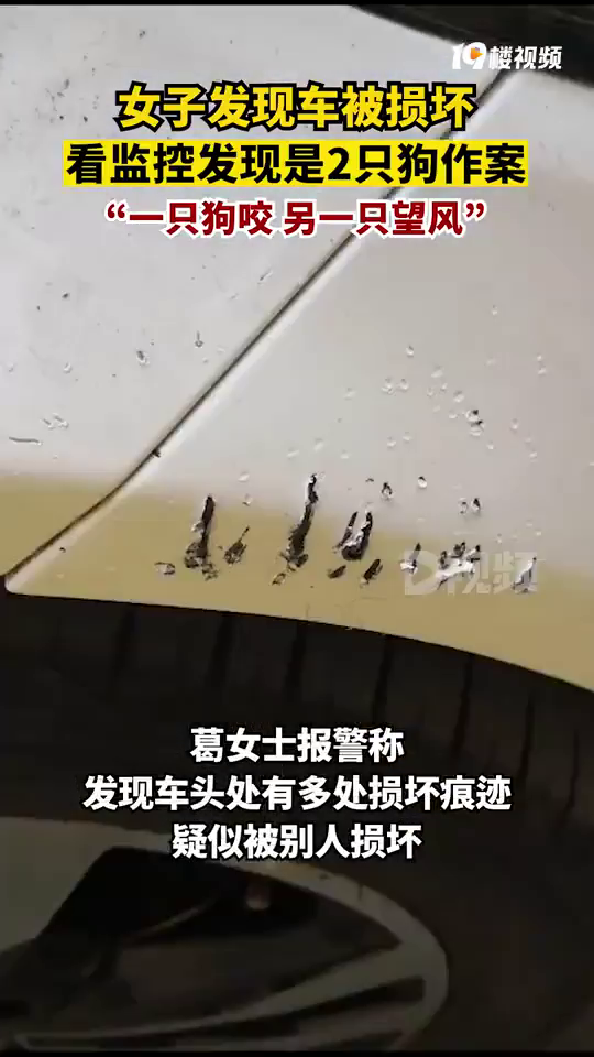 ����Ů���������𻵣�����ץ��2ֻ����һֻ���磬һֻ���ƻ���