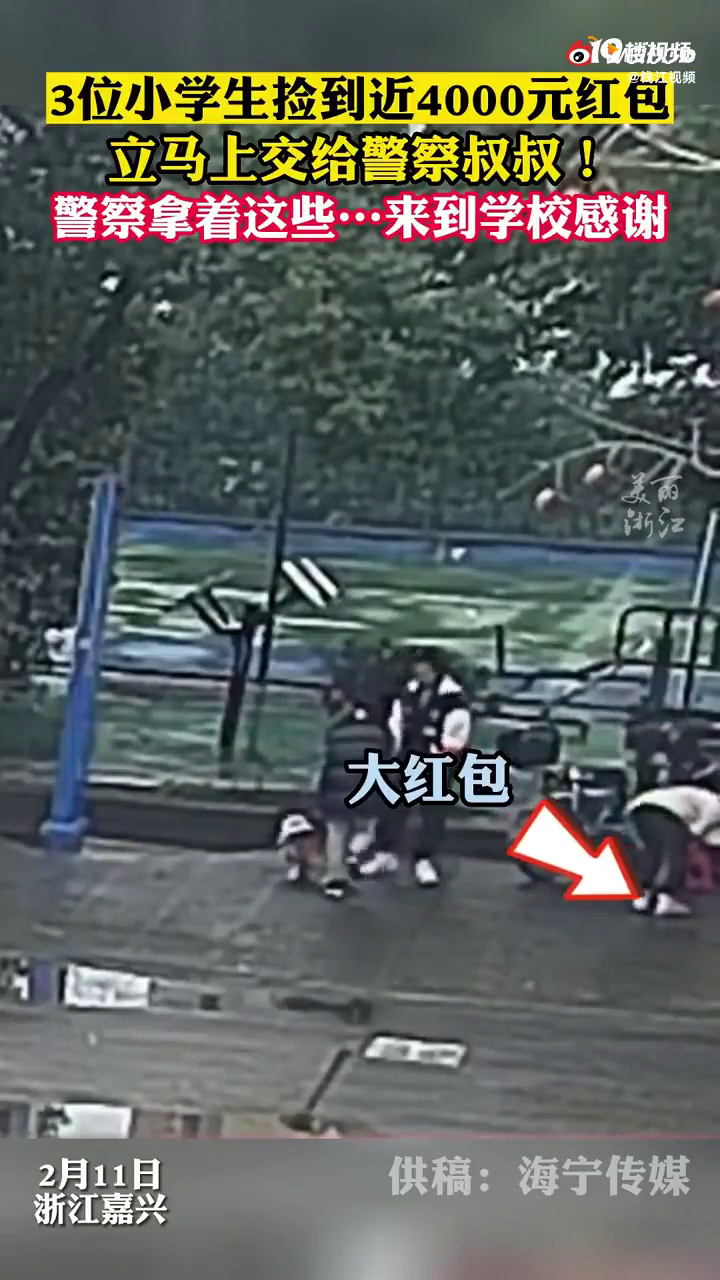 ������Ϊ3��ʰ������Сѧ�����Ͻ�״�ʹ�컨��