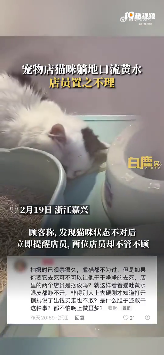 �������è���ɵؿ��»�ˮȴ�������ϣ��ڶ�����ȥ���Ѿ������ˡ�