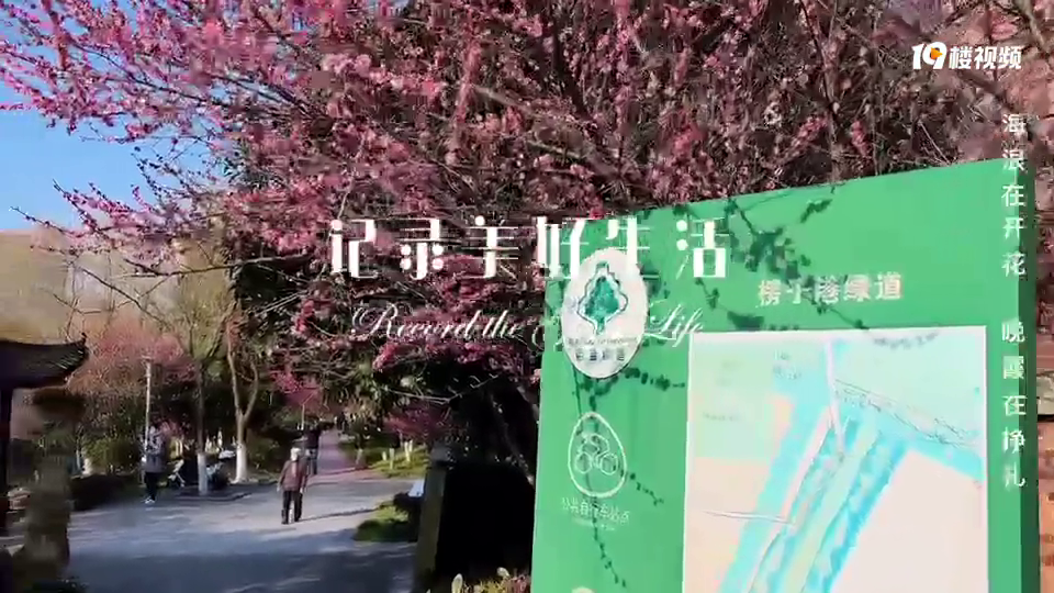 ���������÷�ص��������ܶ���Ӧ�ö�û��˵���ɣ�