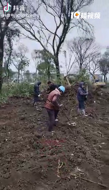 ����ƽ�����ö����������լ����ڱ�����˵�н�Ԫ�����Լ�