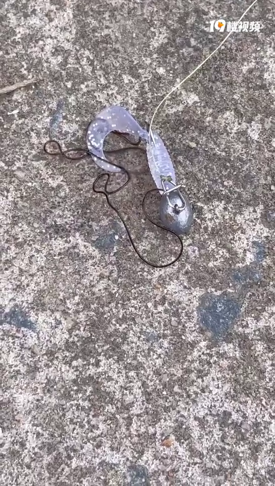 ��������ʵ�ģ��������һ���ᶯ�ġ���˿����������ǡ�