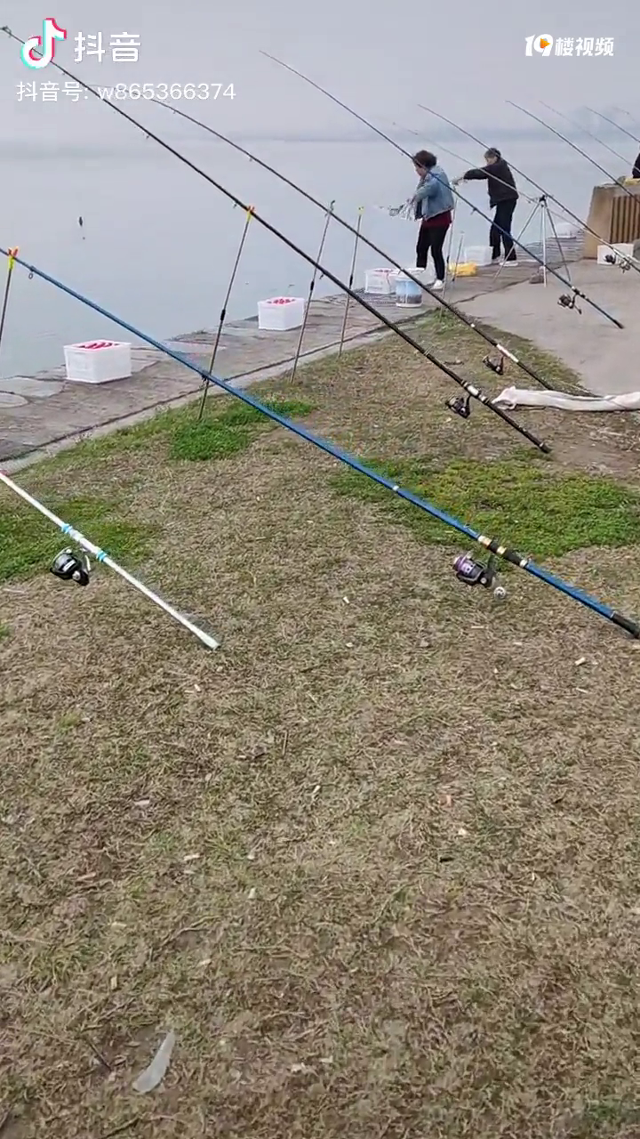 ������ߺö��������ﵹˮ������������Ȫˮ��������