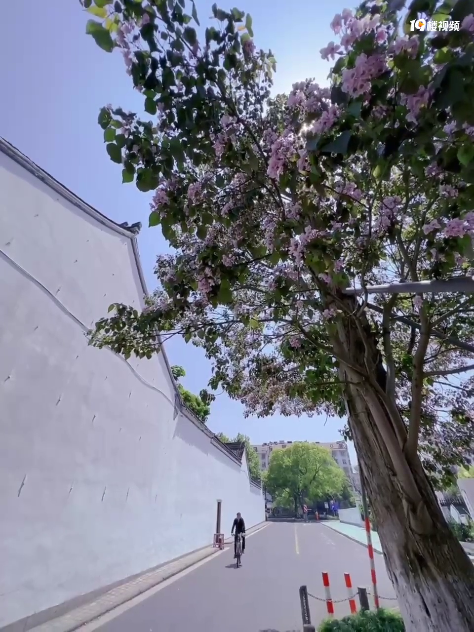 ���γ�����һ�������� 150 ��������� �����˻� ��ͮͮ��