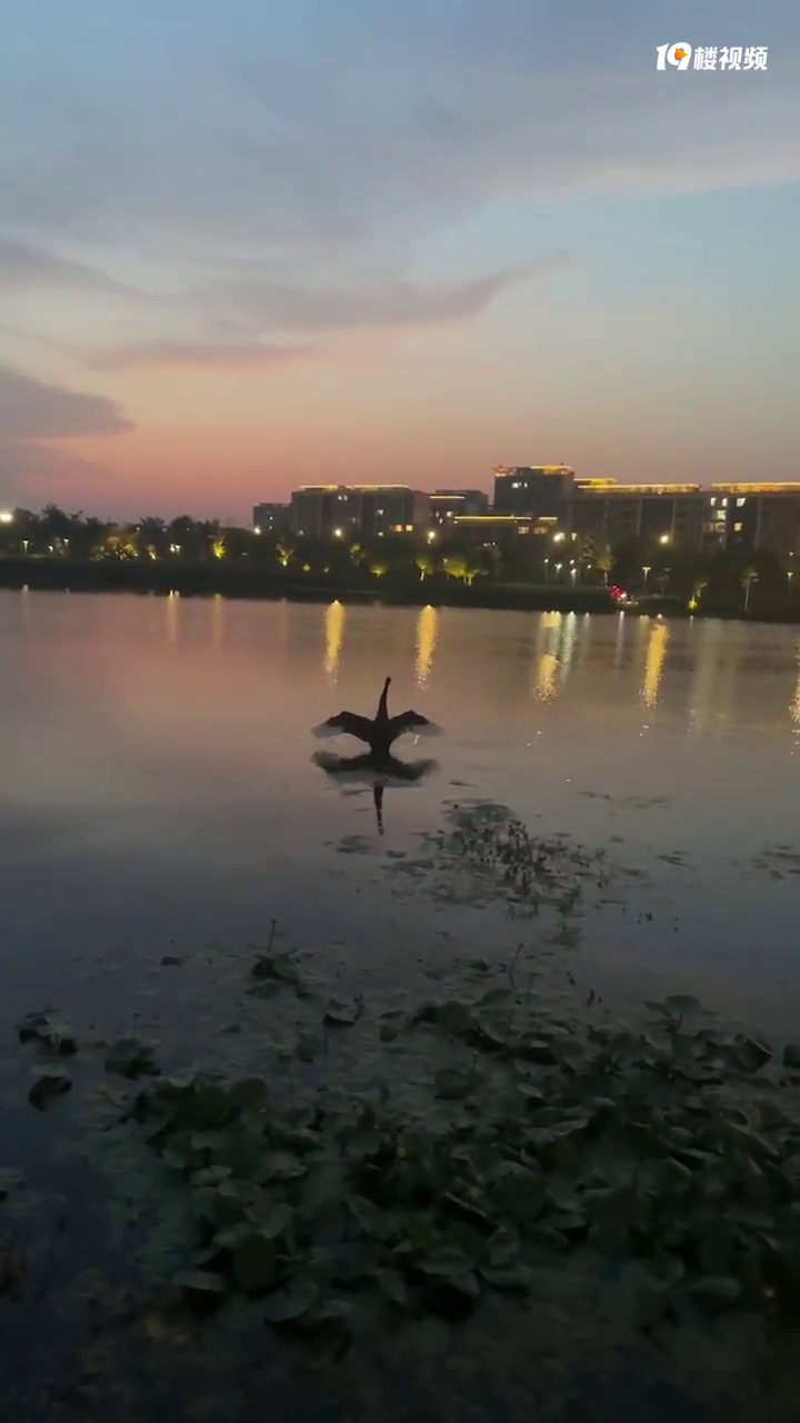 �����������������ˮ���� ������������裡