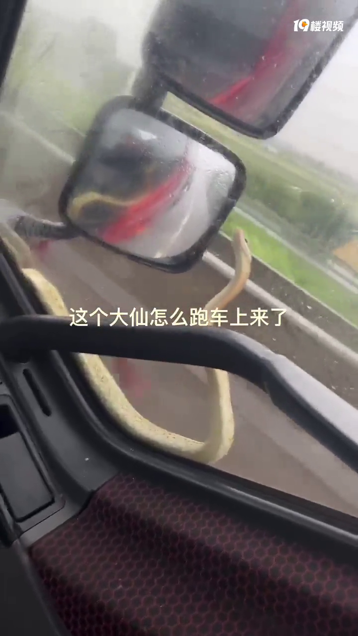 �������������ٳ�����ͻȻð����һ�����ߣ�����Ҫ��˳�糵��