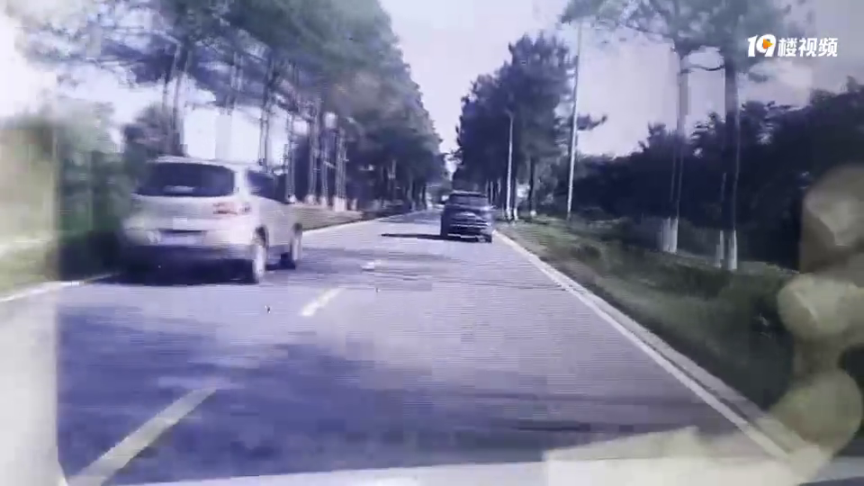 ���е�����������׷β�����ɫ���Ӳ���ûһ�����ΰɣ�