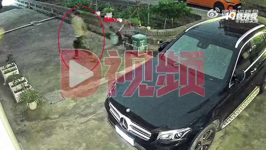 ���˷����ϰ屨�����С͵�����Ⱦ��죡�ϰ壺����л���֮�ƣ�