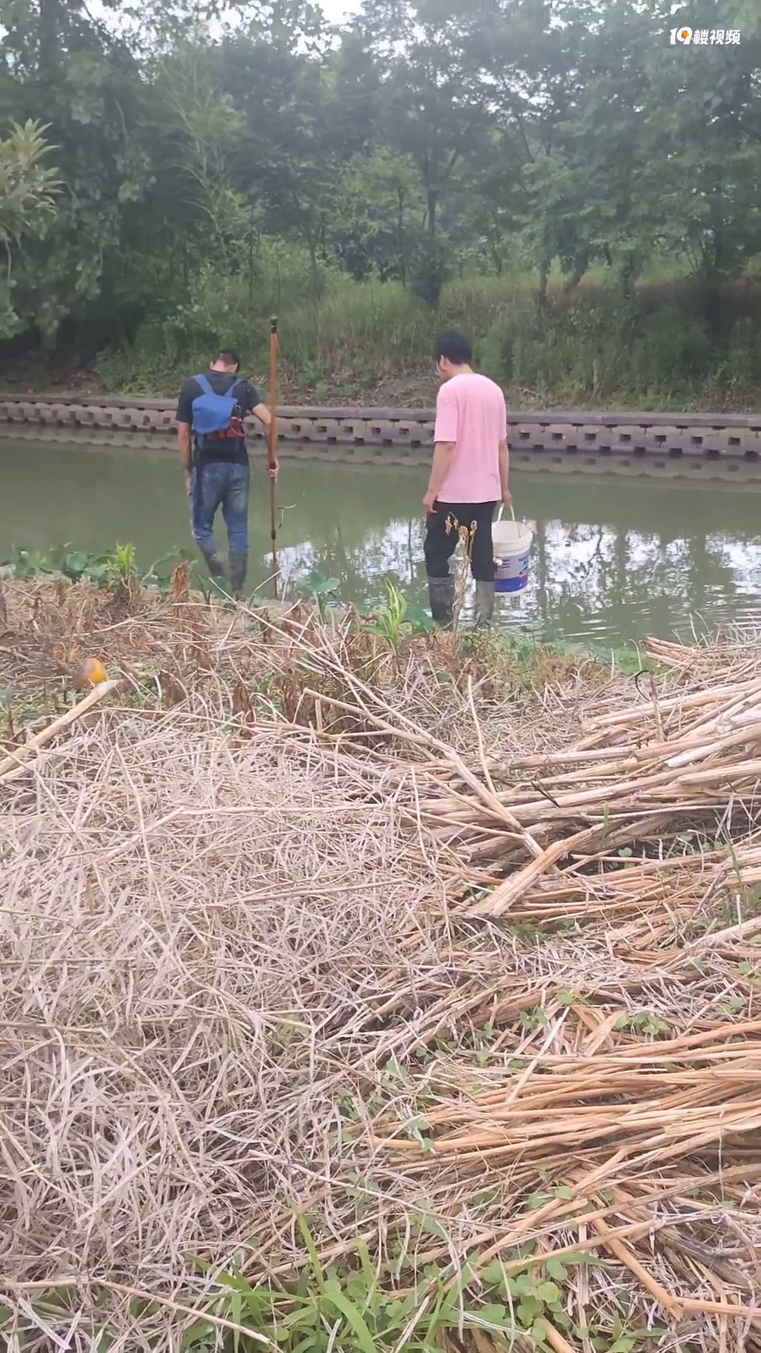 ���껨����Ǳߵ��㶼��ô��Ŀ�ŵ�����Ҳ̫Ƶ���ˣ�