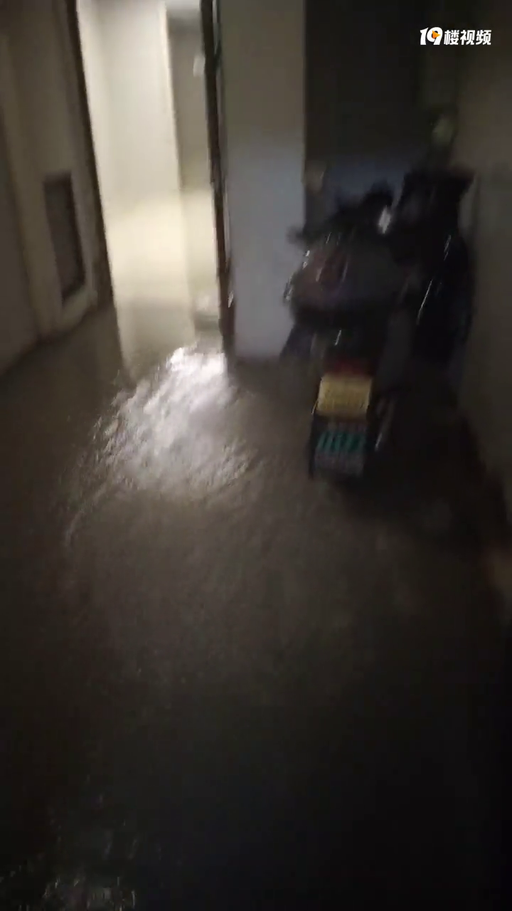 �������˱��꣡����2.85��ҵ�ѵ�С�����³���ȫ���˰���