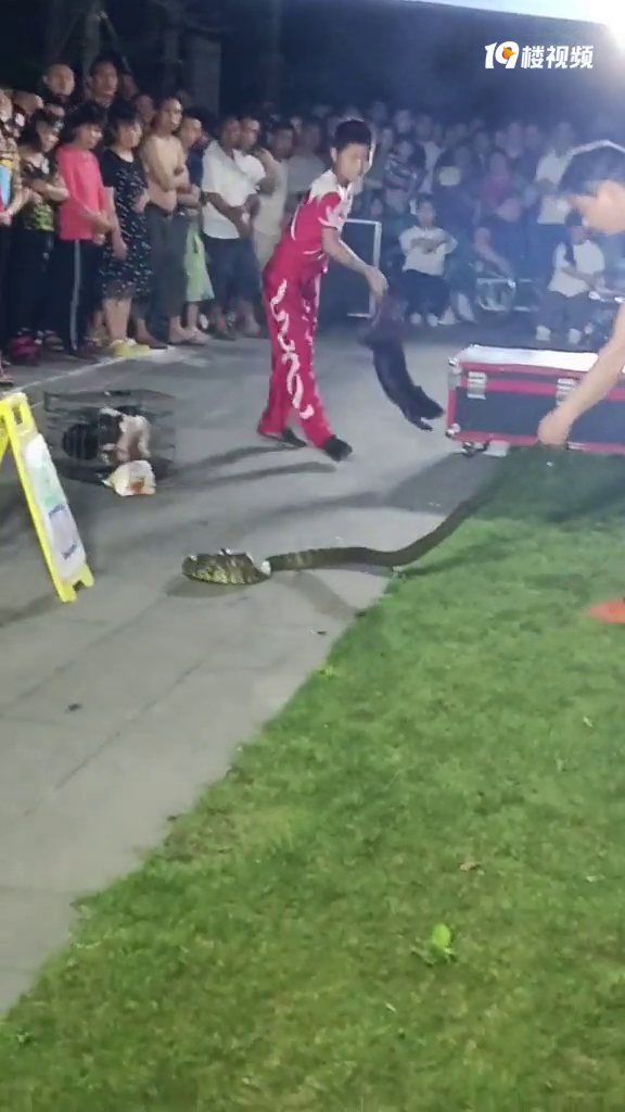 ƽ��һ��԰���������භ�����ڱ��ݶ���ô�ؿ���