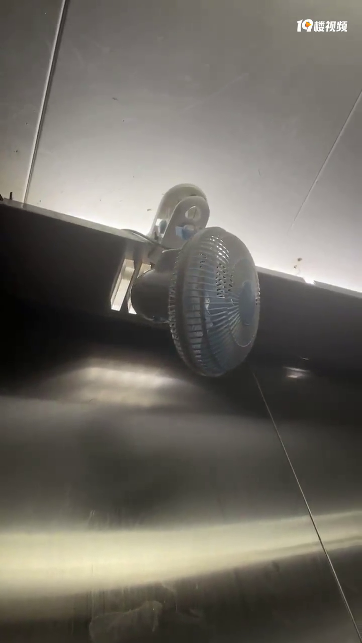 ����ĳС�����ݵ�������ȣ���ôֻҡͷ�����簡��