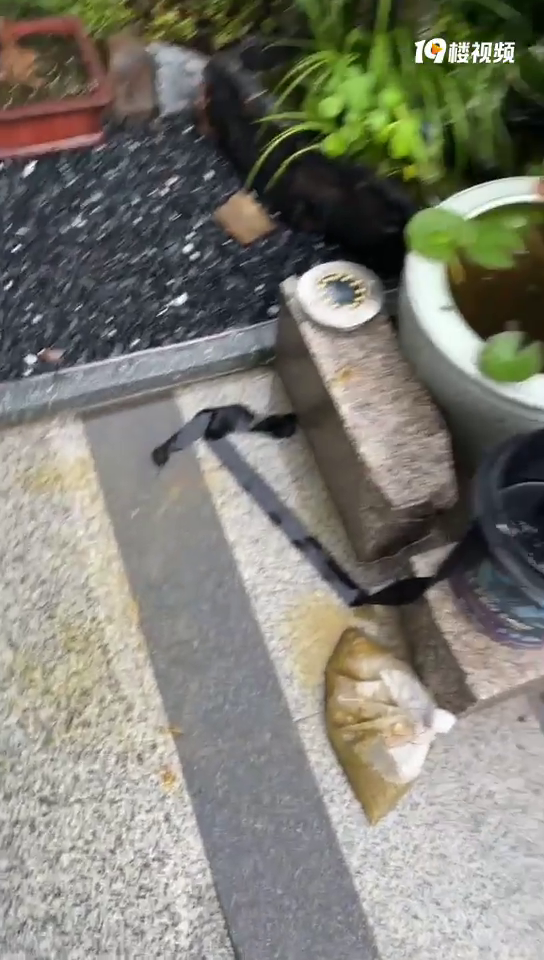 ��¥��װ�޹��˸߿�����һ�����̣���һ�����������̫�����ˣ�