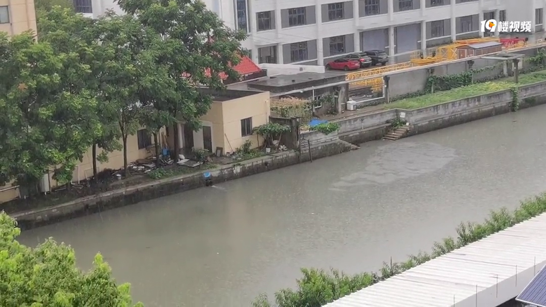 ���ĵ���Ƶ ��ҿ�������ǲ�����������͵����ˮ��