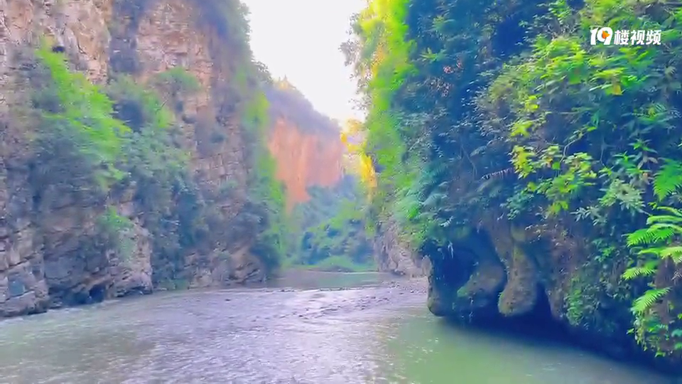 �뽭��С����