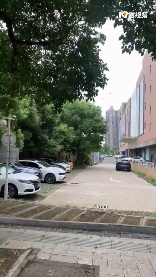 ����ը�ˣ������ĳ�ճ���ҵ��·������ϡ�