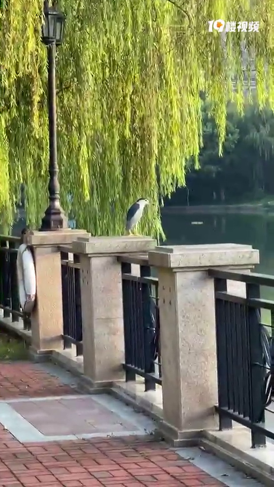 ¥���� ����ʲô�񰡣�