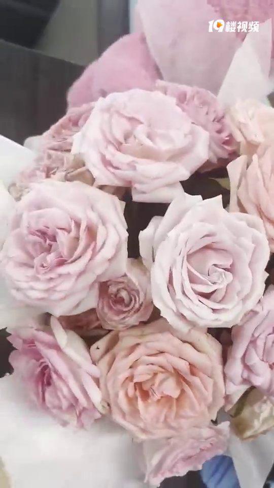 ���ף���������Ϧ�յ��Ļ���������û��ΰ�̫�������ˡ�