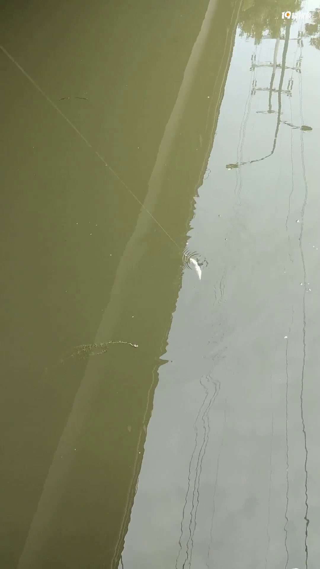 û��Ů���ѵ��� һ���羹Ȼ���Ŷ�����������£�