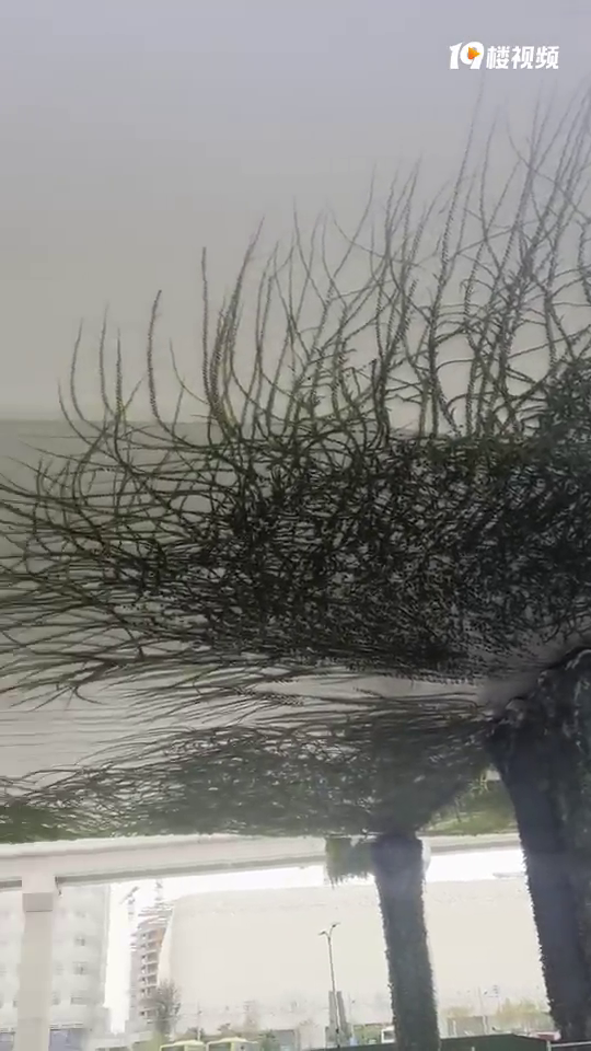 ��ɽ���̻��߼����п������