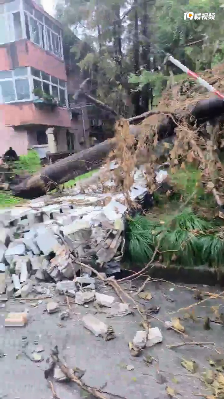 ����ʲô���磿����Ӫ��ߵĴ��������� ǽ�����ˣ�