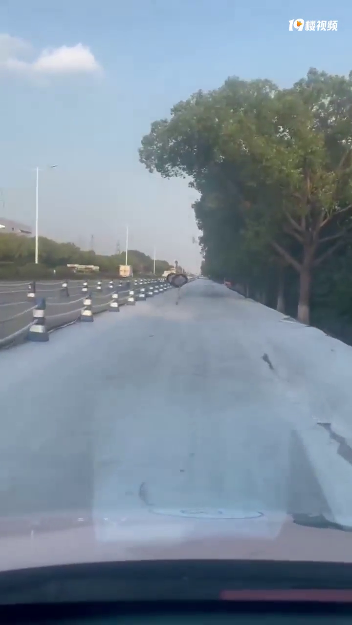 ���캣����������ϳ�����һֻ�����ڱ��ܣ�