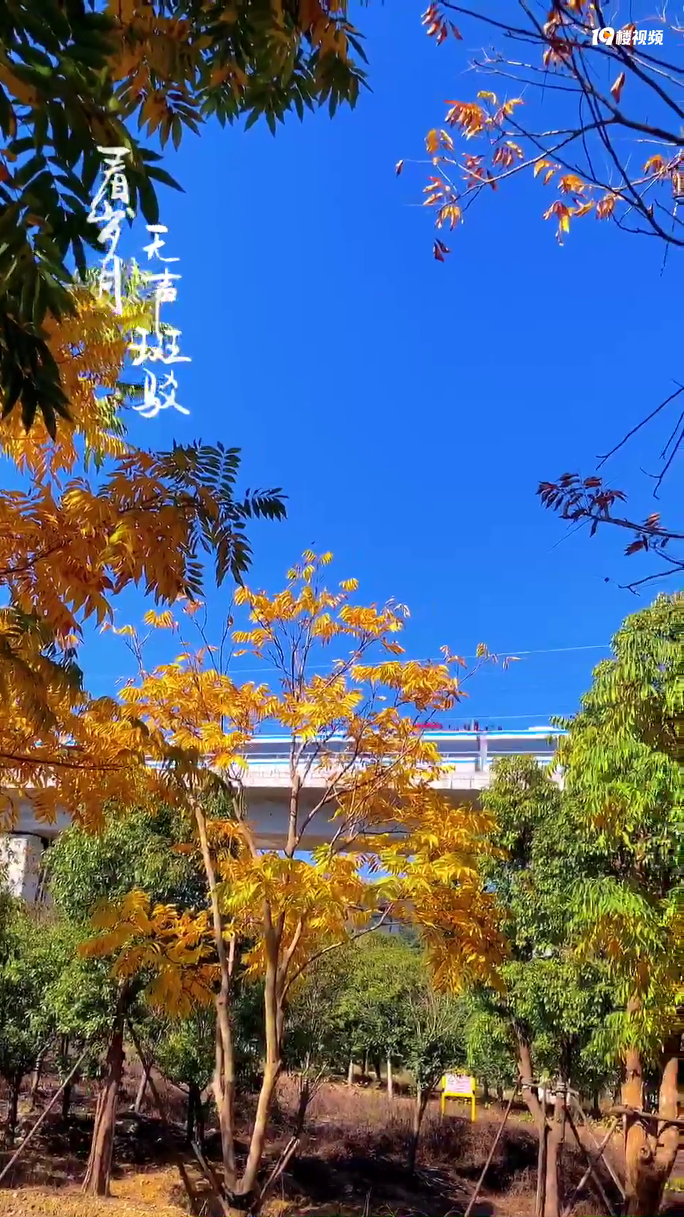 �������̨��S1