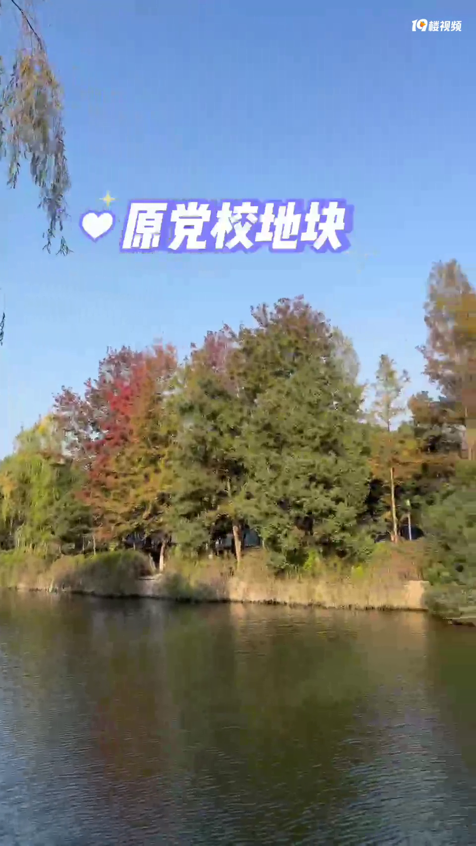 ����������أ����ϲ�����