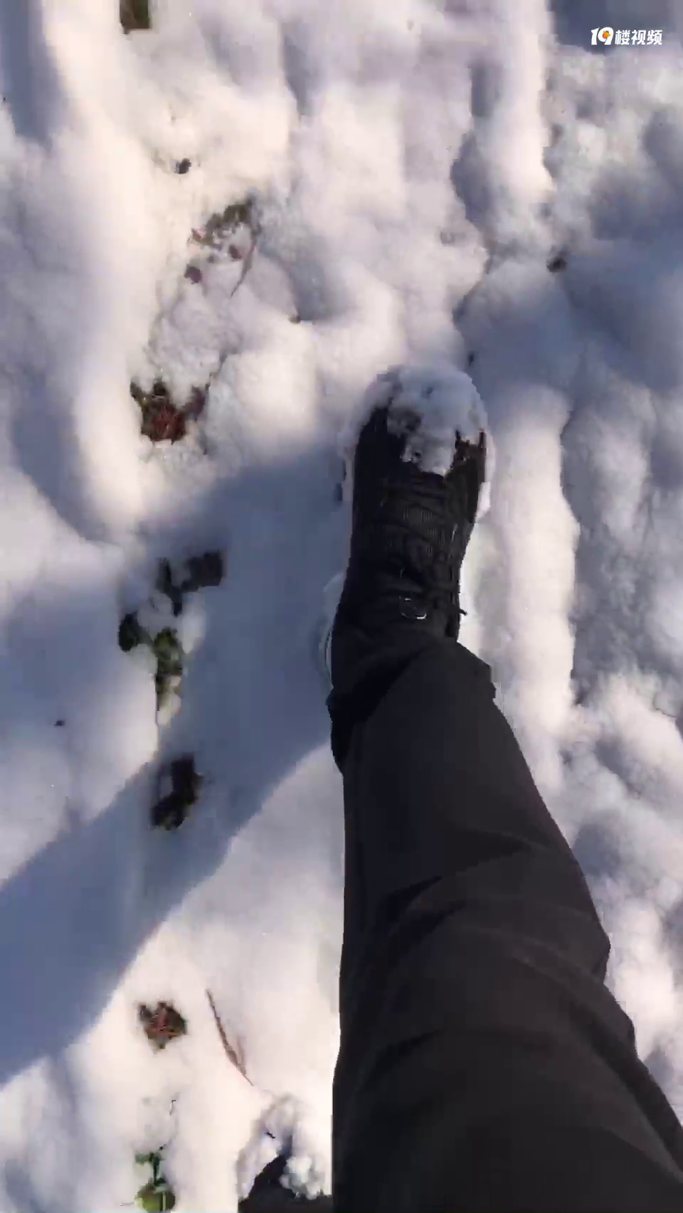 ��ס2024��һ��ѩ