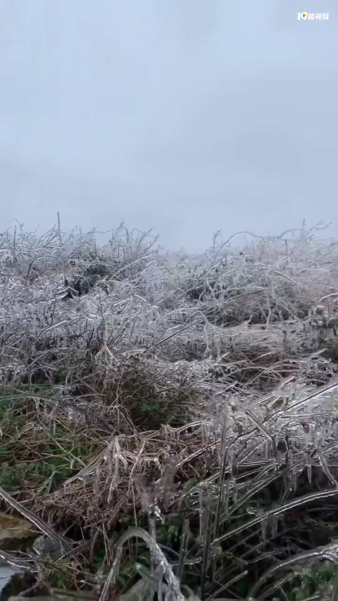 ����Ԫ���ڣ�������̨�ݱ������硪������