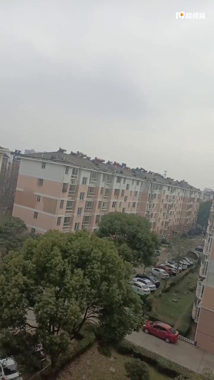����Ƶ������һ����ͽв�ͣ��������˭�ܽ���С������������