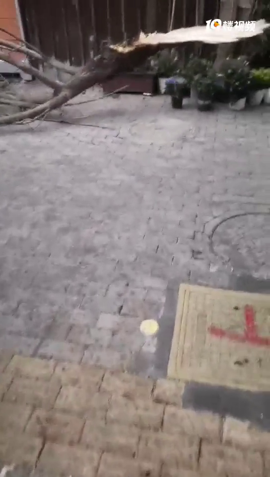����ͻ��������������������һ����֦�����ϣ�