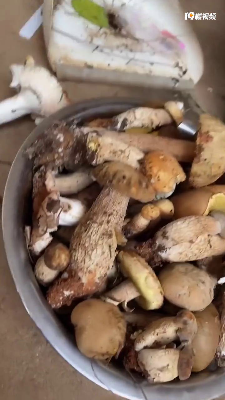 ��ЩҰ��Ģ���ܳ���