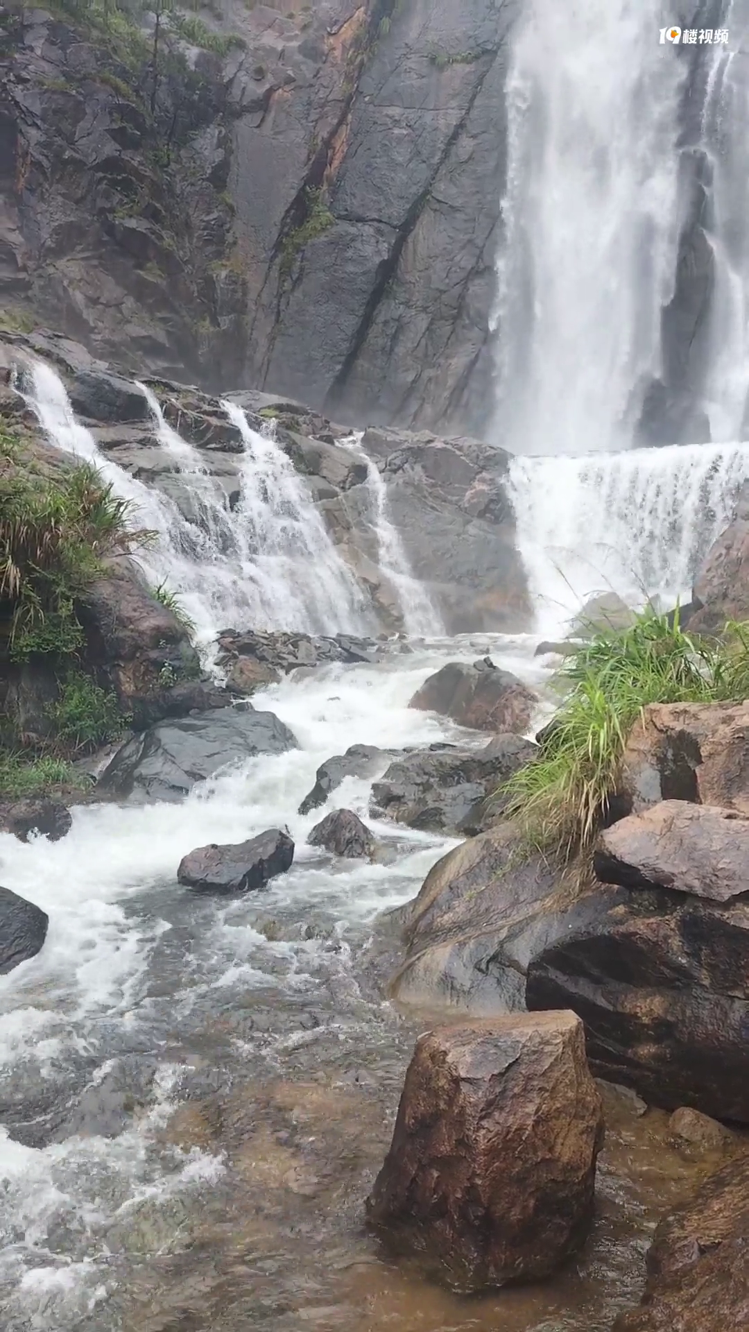 ��̨���ٲ���׳�ۣ�������ȥ�ر��ʺ�