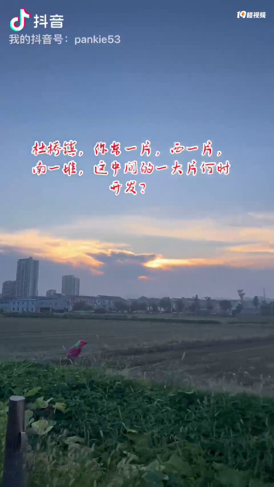 ��������һƬ����Ϊʲô��������