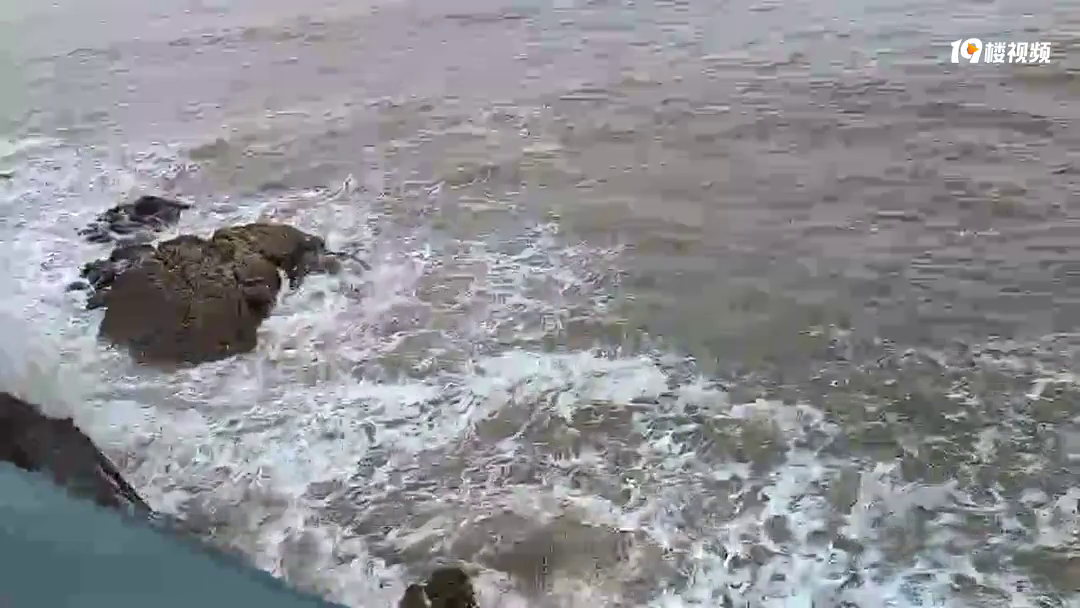 ���쳱ˮͦ��İ�