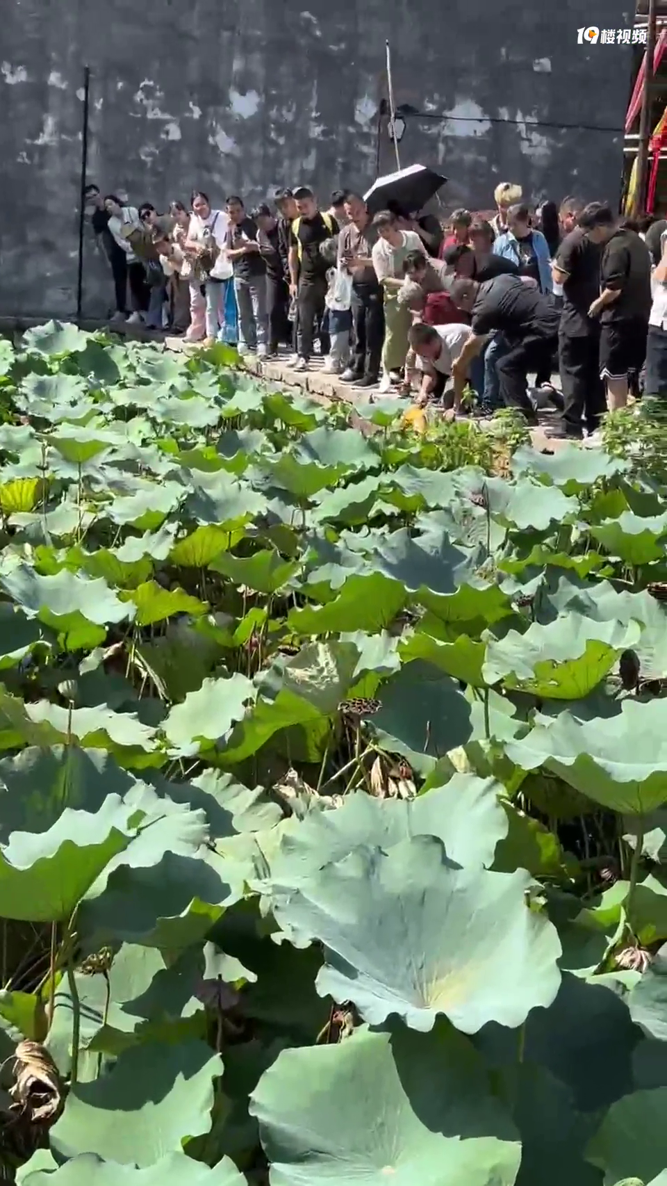 �����������е����������˼�������ȥ�ˣ��⡭��