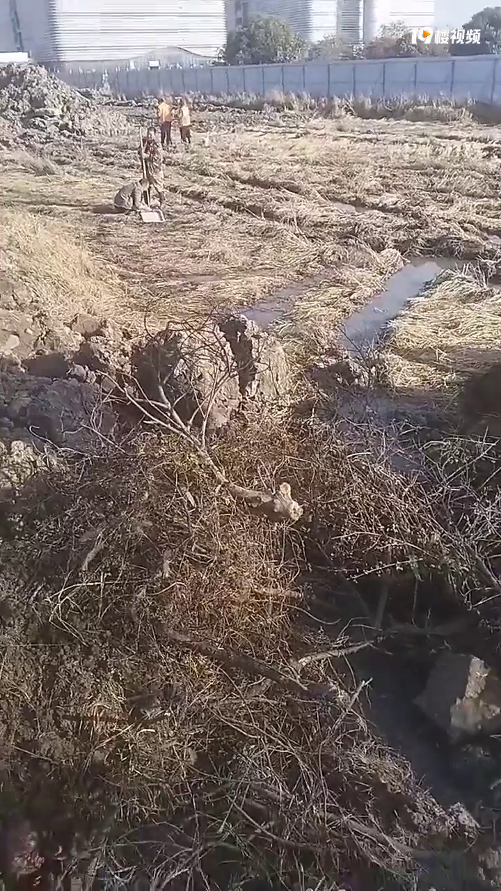 ƽ����ܤ�Ǳ߷��ֹż��ˣ������쿼�Ŷ�����̽�ˣ�