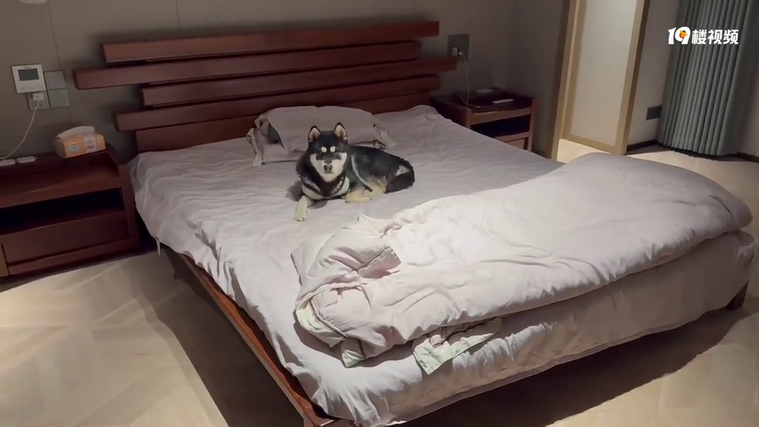 ����һ�谡��������һ����