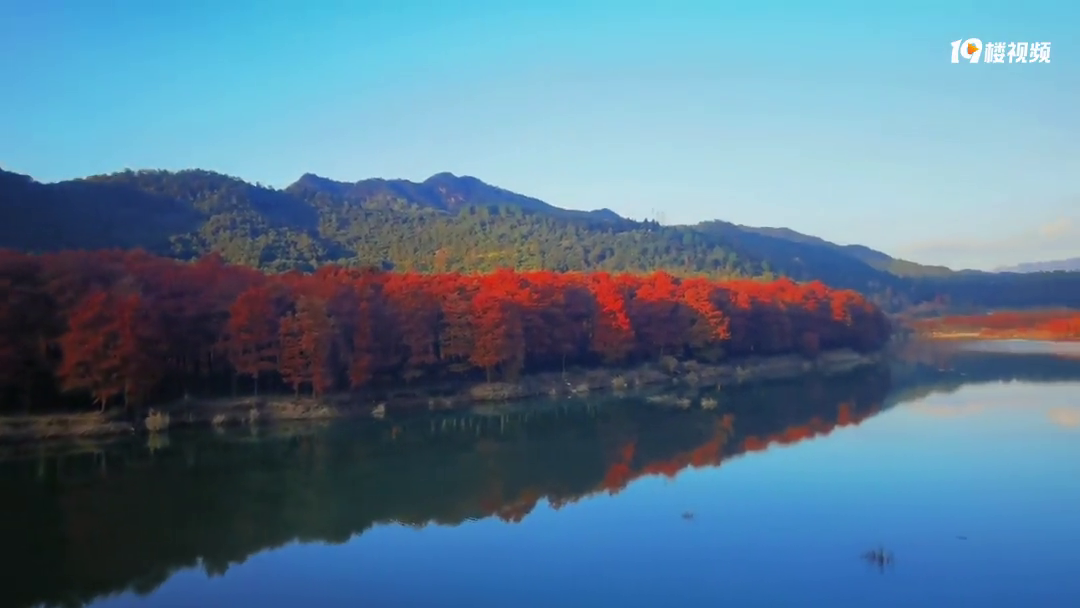 С֥������