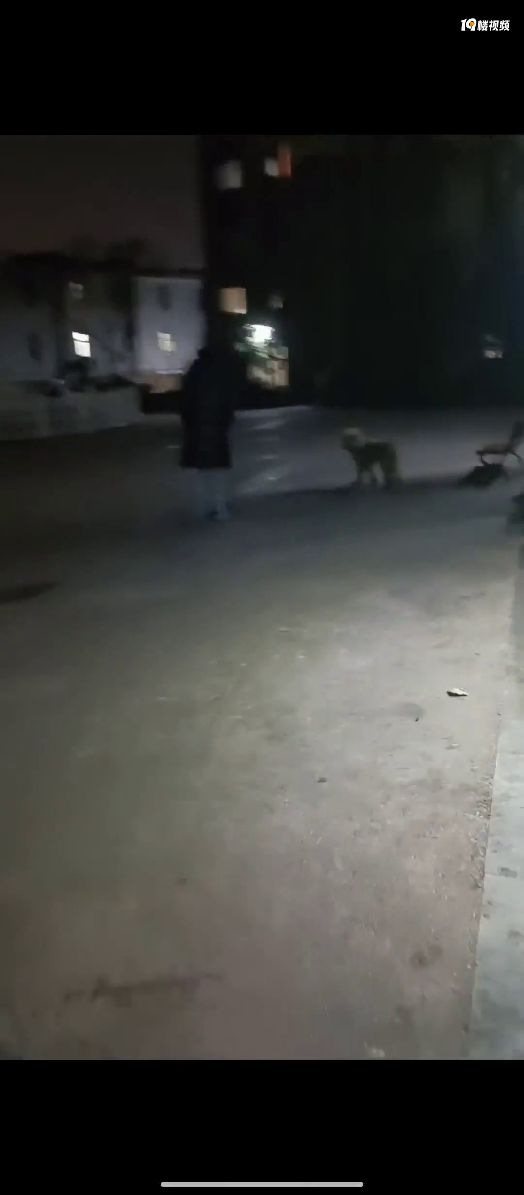 �ּ���ǣ������������С�������������޹��������������