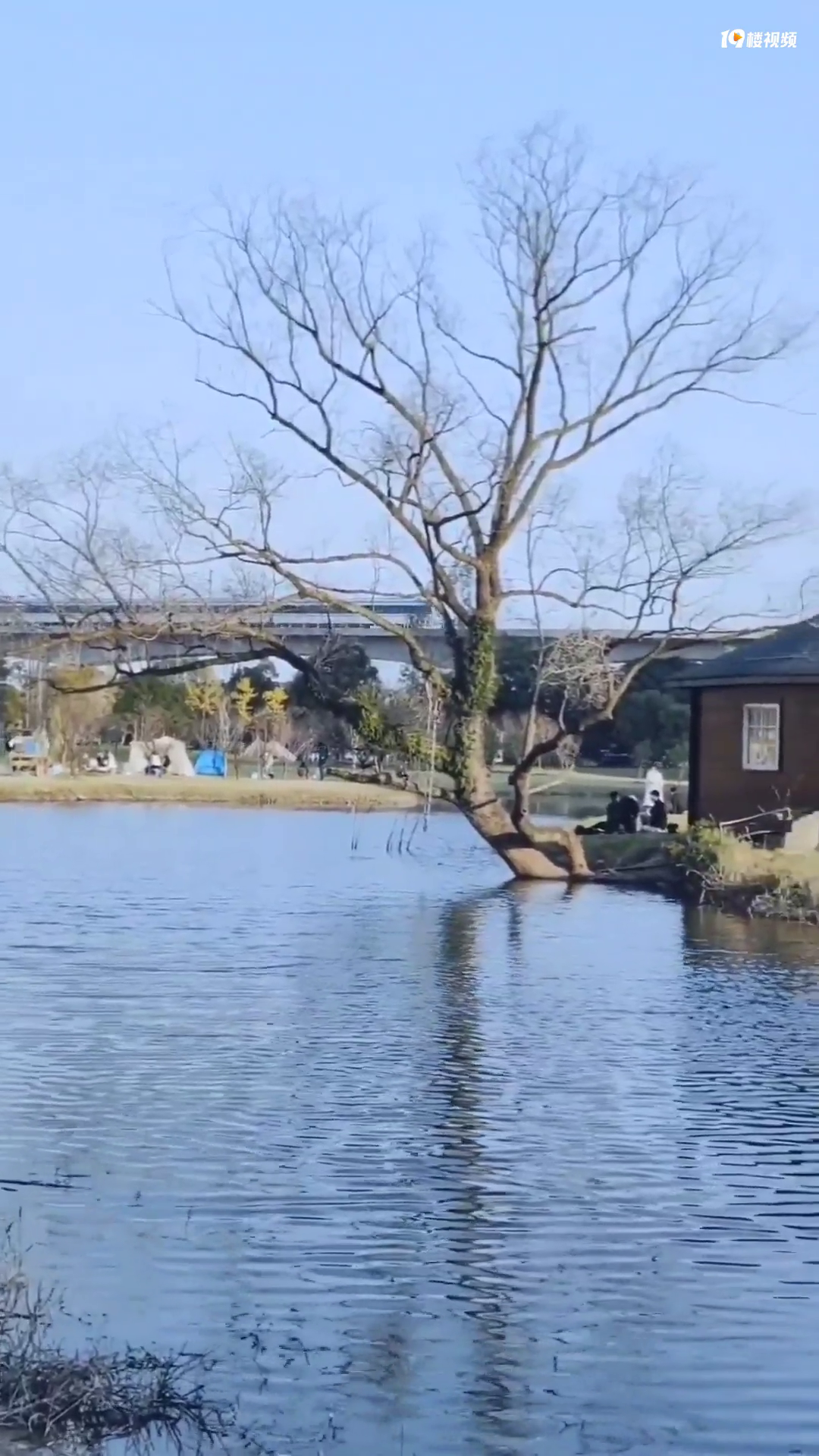 �����쾰�㣬���������µ�һ���������кõط�