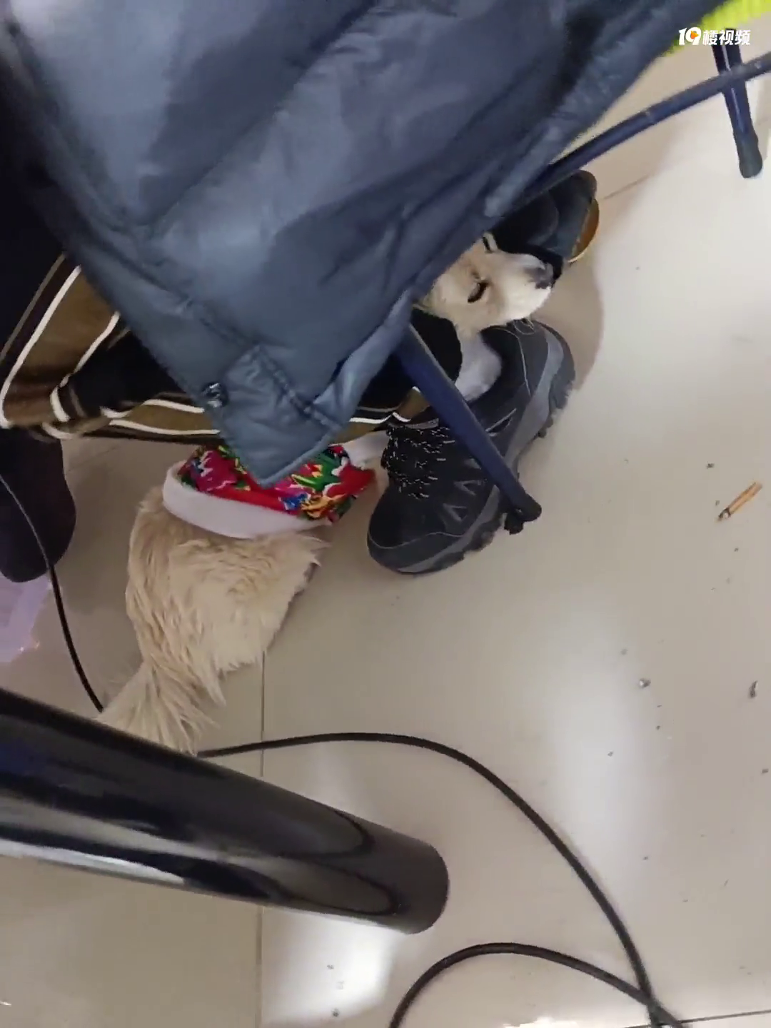 Ե�����ֶ��������ﶼ������