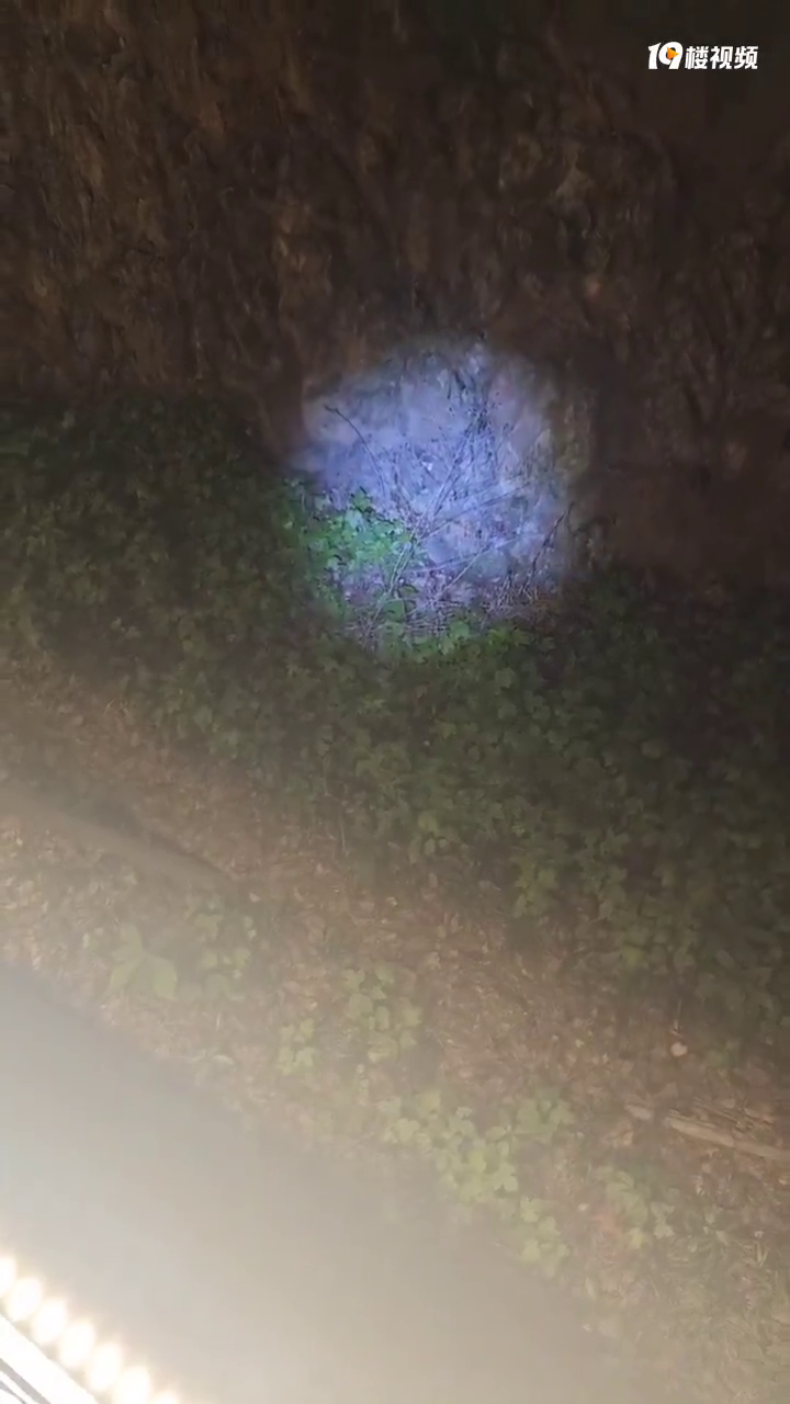 ����ɽ�д�⬣�һ��ʼ��Ϊ�����󣬸�ͷ����С