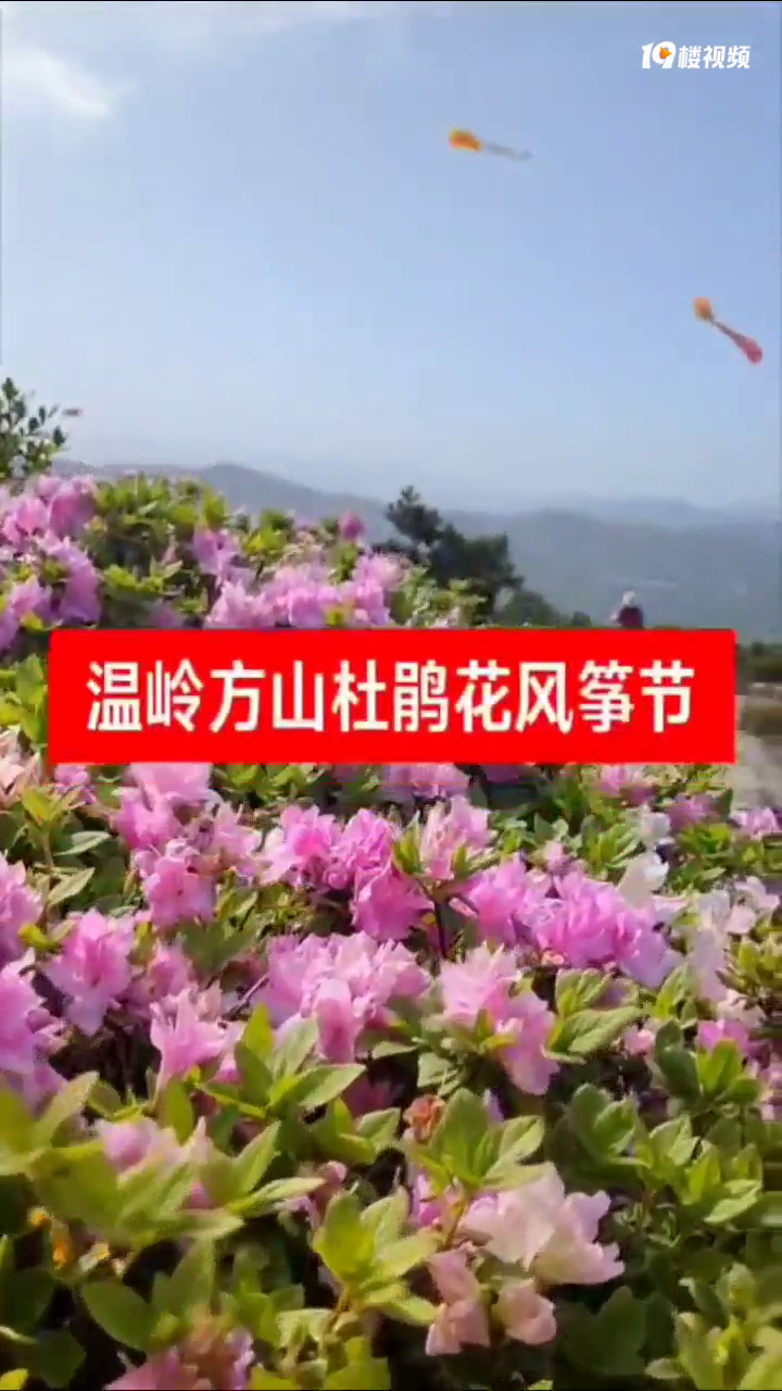 ���뷽ɽ�ž껨�������ޣ�������Ƽ���ݷ�������ͷ�