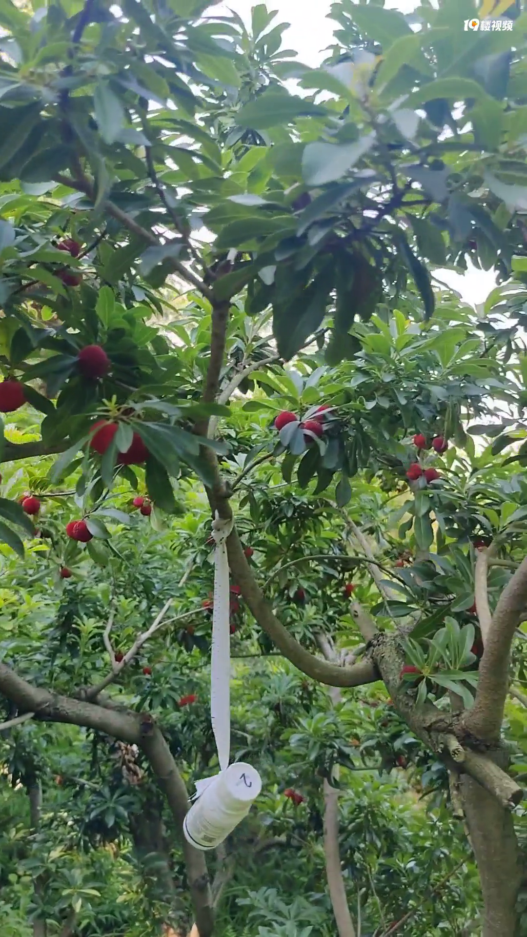 �������ġ����غ�̿÷�������졣