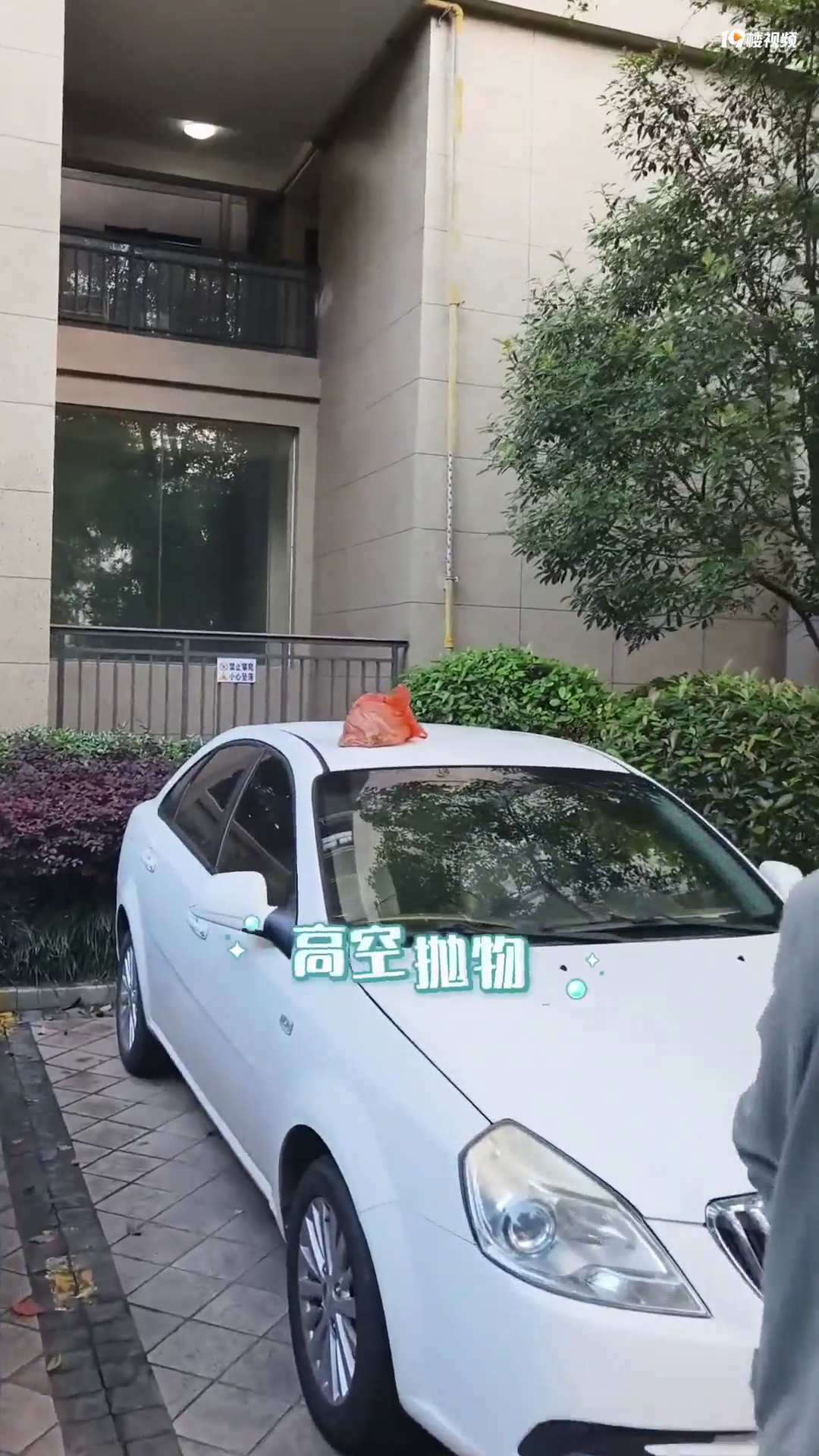 �����Ŵ��Ͽ��������˸߿���������������ұ���