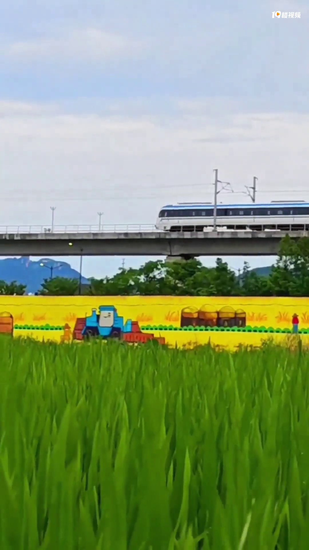 �������һ��