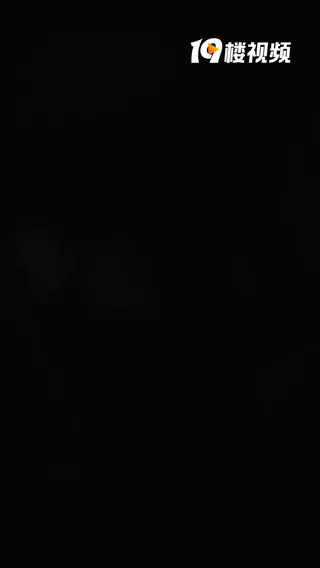 ��ƵΪ֤��ÿ������������ ��Ļ����ʵģ�Ͷ�ߵ�����Ч����